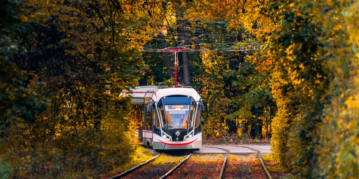 Трамвайные маршруты Москвы: топ-6 самых осенних и живописных
