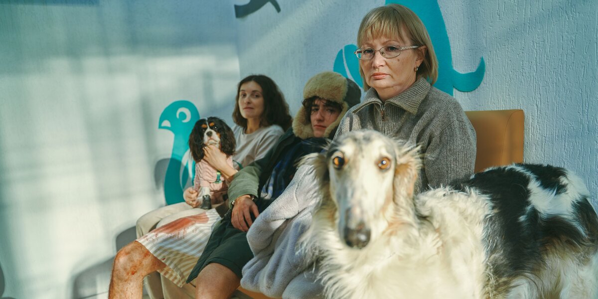 6 российских сериалов октября