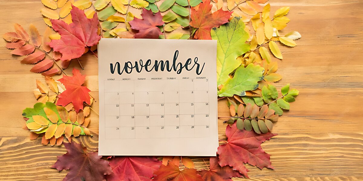 Праздники в ноябре 2025: как отдыхаем и что отмечаем