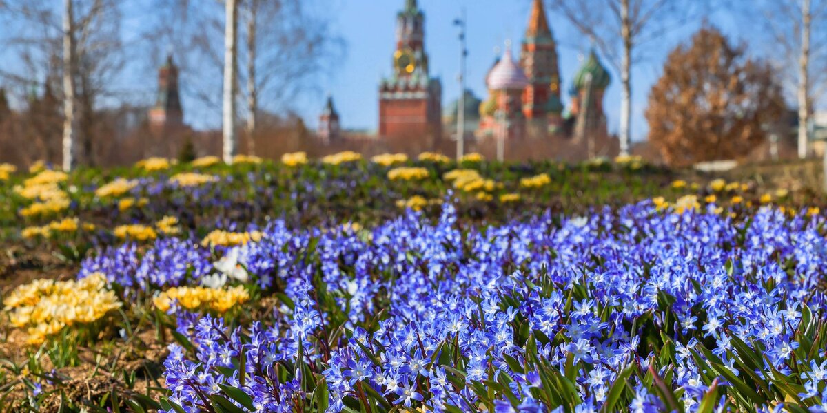 Где гулять в Москве весной: 15 топовых мест города