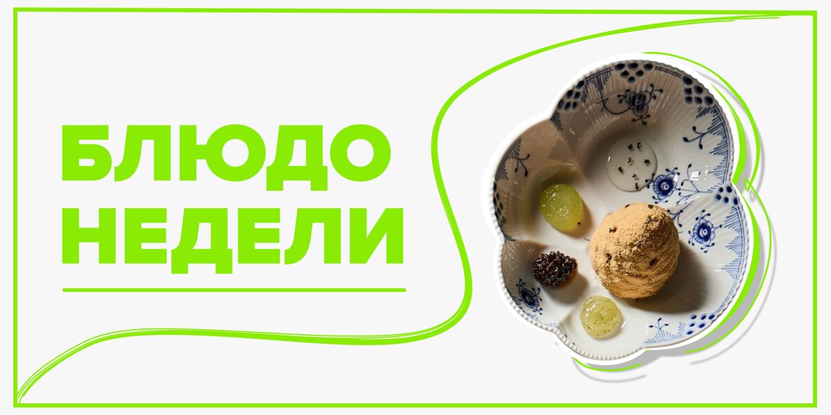 «Муравейник» с настоящими муравьями