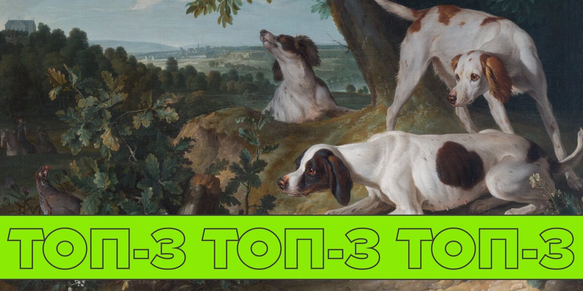 Семидесятники, Владикавказ и Барятинские: 3 выставки, которые открылись в Москве на этой неделе