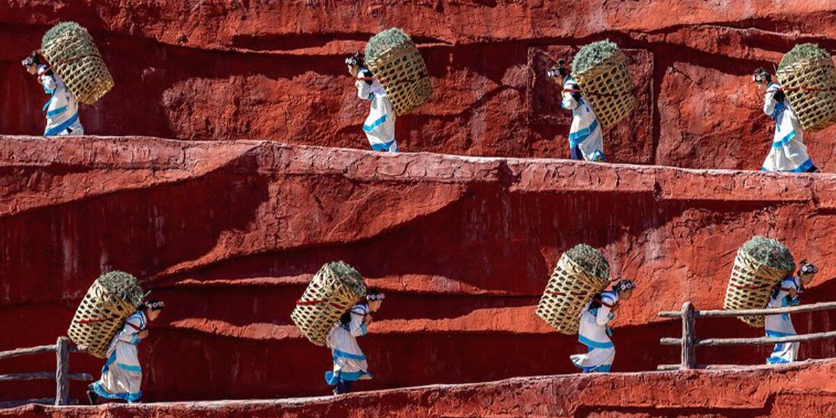 Драконы, живопись и каллиграфия: выставки китайского искусства в Москве