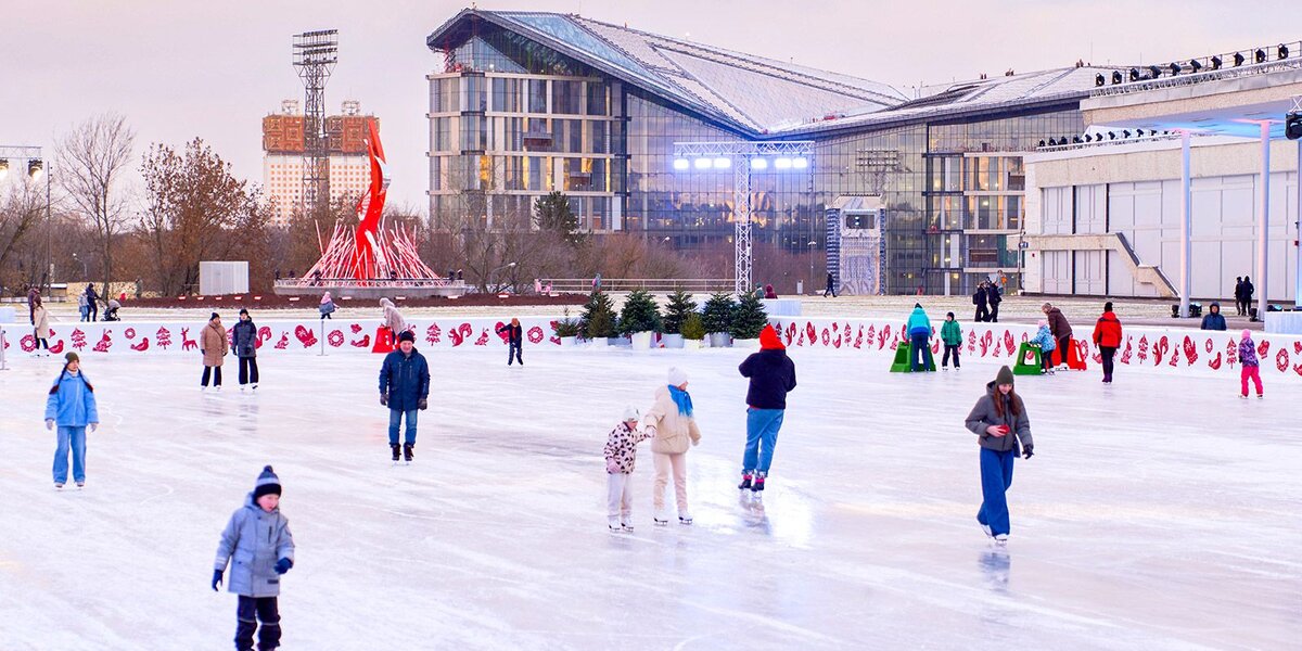 Куда сходить с детьми: во Дворце пионеров пройдет День Арктики