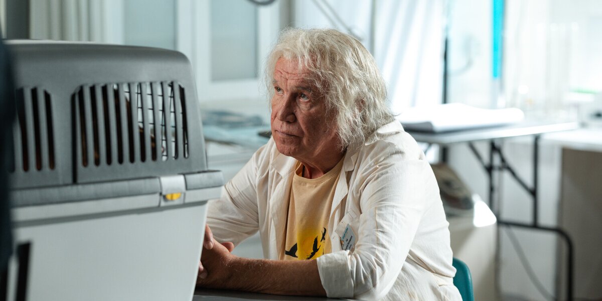 Фильм «Доктор Гаф»: посмотрите новый трейлер семейной комедии с Сергеем Гармашом