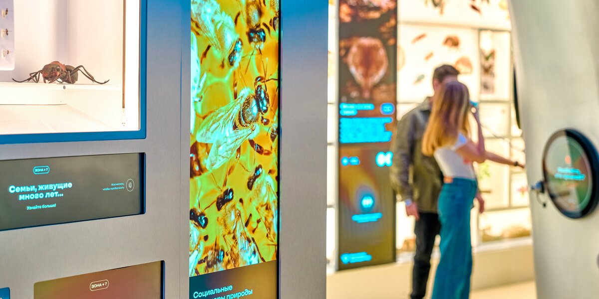 Куда сходить с ребенком в Москве: на ВДНХ пройдут мастер-классы и лекции об экологии