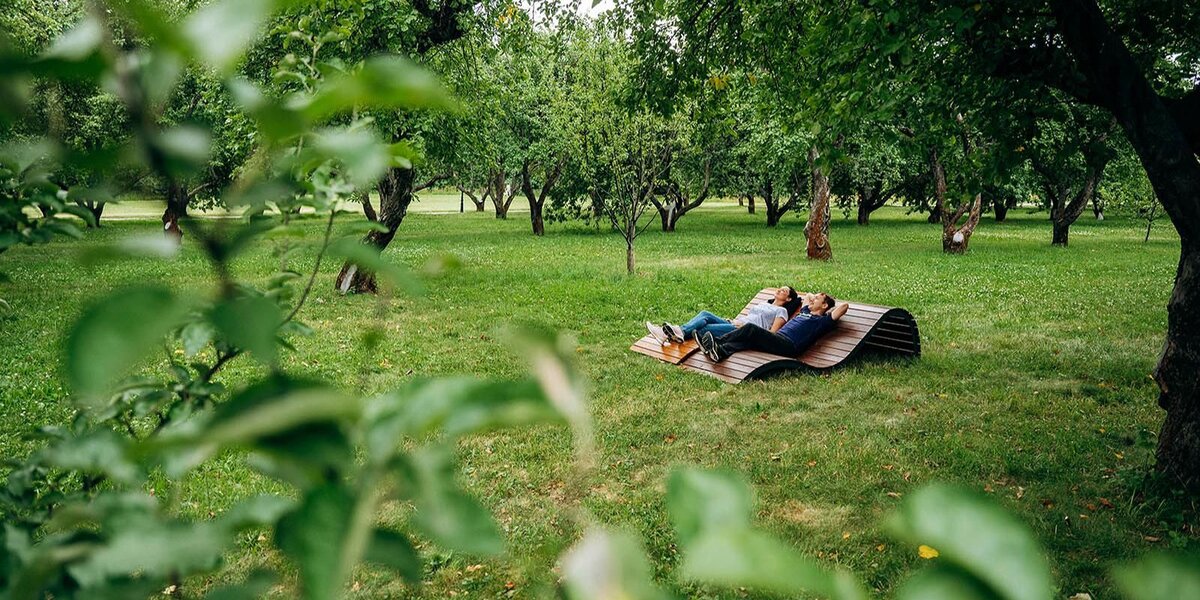 Сезон клещей 2026: когда начинается, когда заканчивается, как защититься