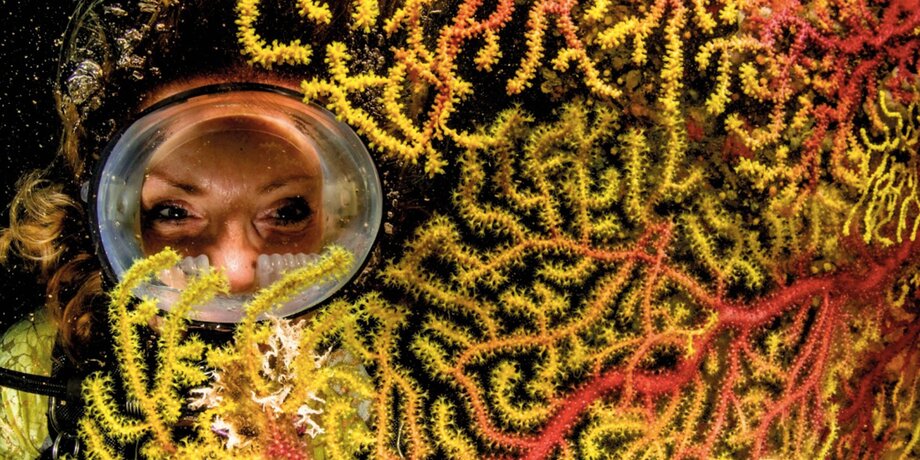 Князь Монако и подводный мир: выставка в фонде «Екатерина»