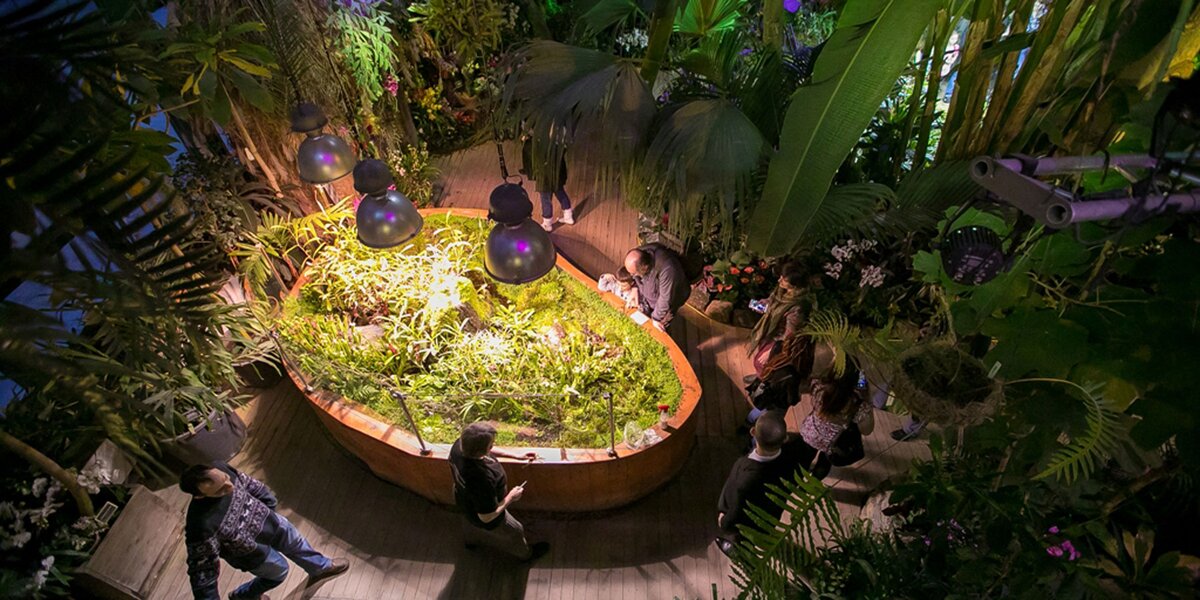 Тропические оранжереи «Аптекарского огорода» откроют 1 июля
