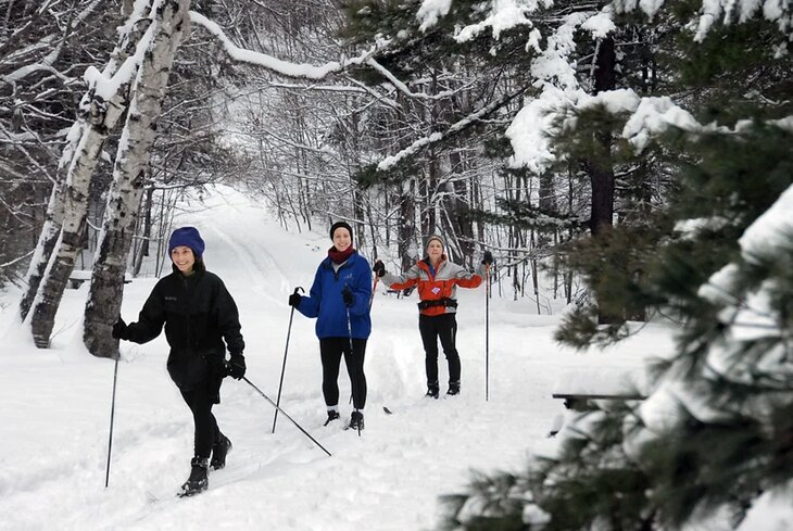 Где покататься на лыжах в Москве бесплатно: 7 лучших мест