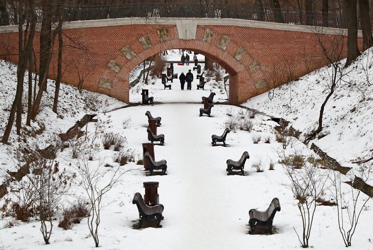 5 красивых садов Москвы, в которых можно гулять зимой
