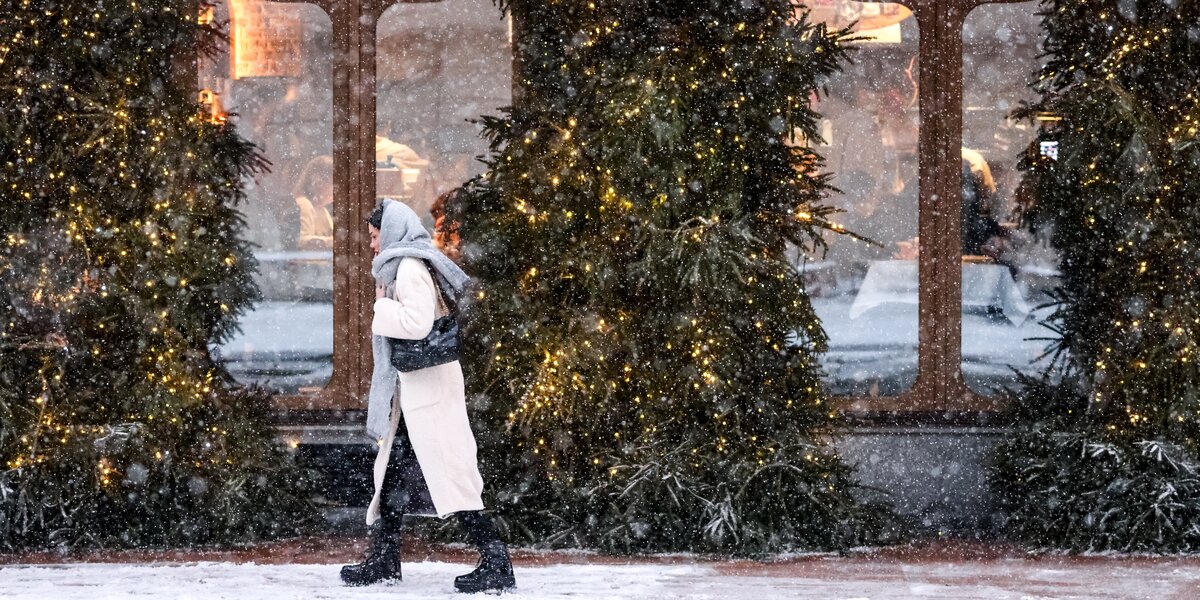 «Пора доставать елку»: как москвичи реагируют на снегопад