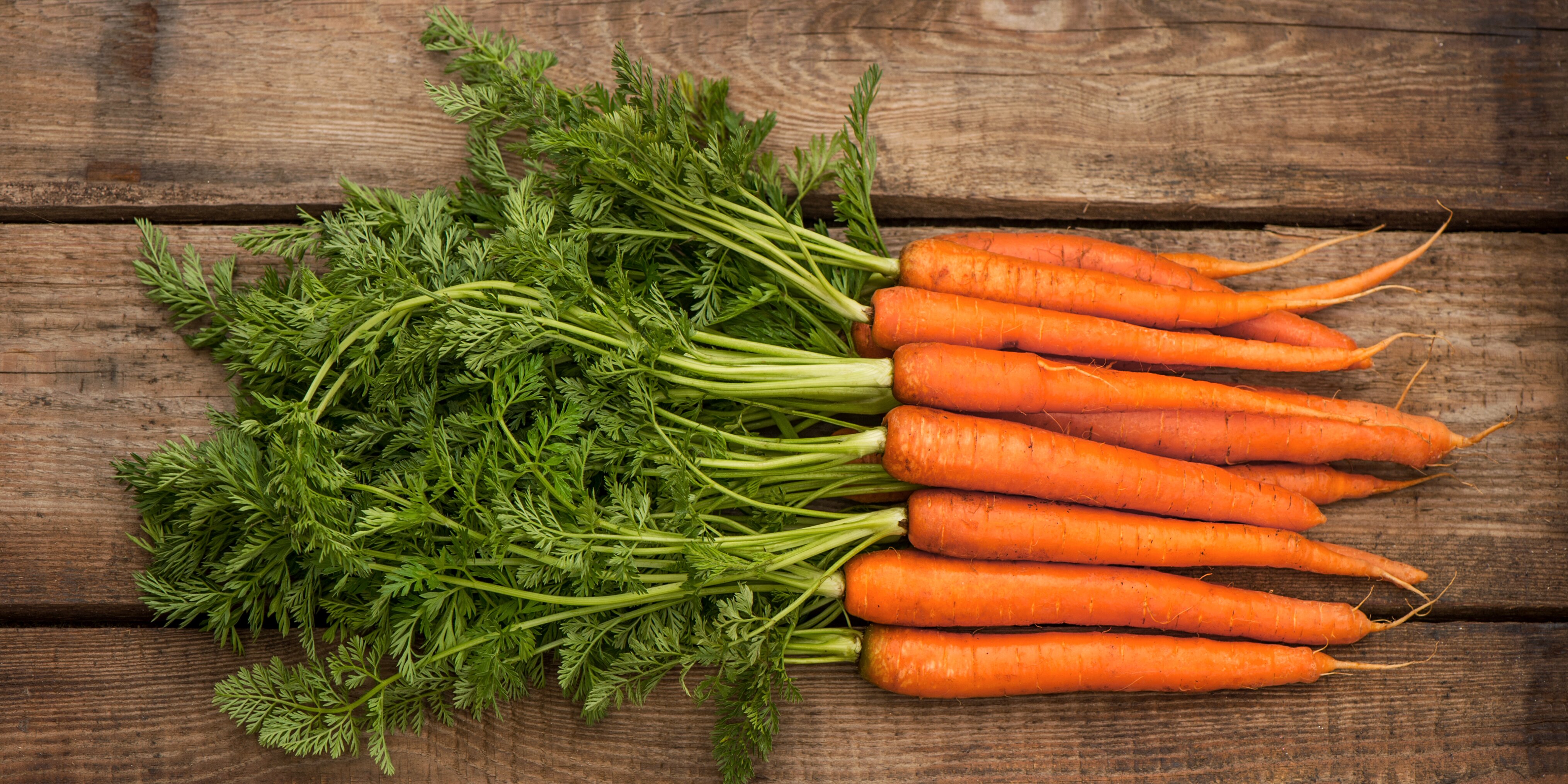 К чему снится морковь свежая. Морковь Кардинал. Морковь с ботвой. Одна морковка. Красивая морковь.