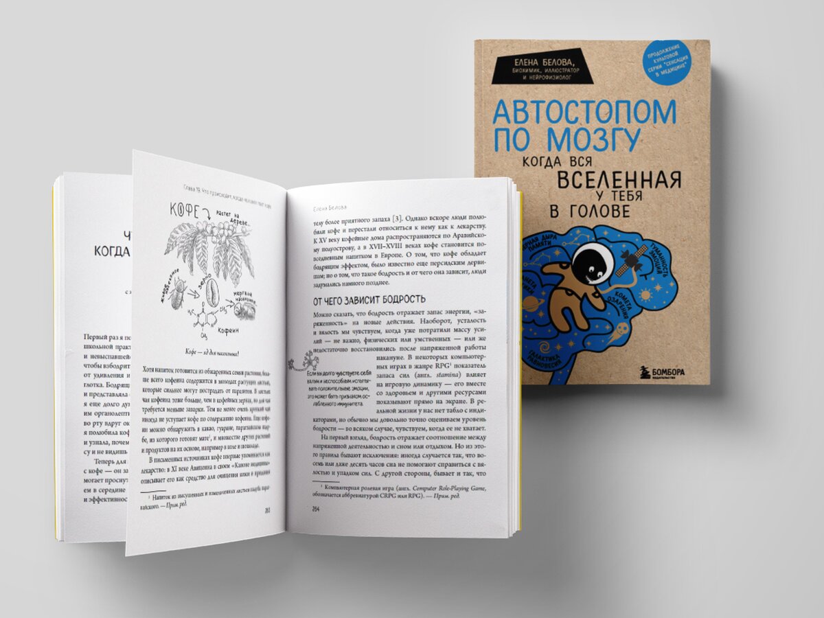 Отрывок из книги «Автостопом по мозгу. Когда вся вселенная у тебя в голове»  – The City