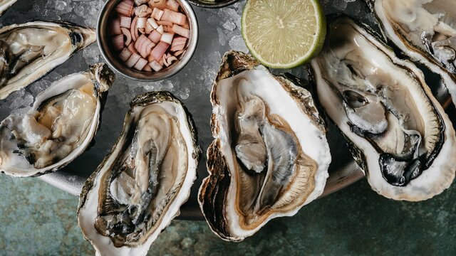 Где есть устриц в Москве: 15 заведений на любой вкус