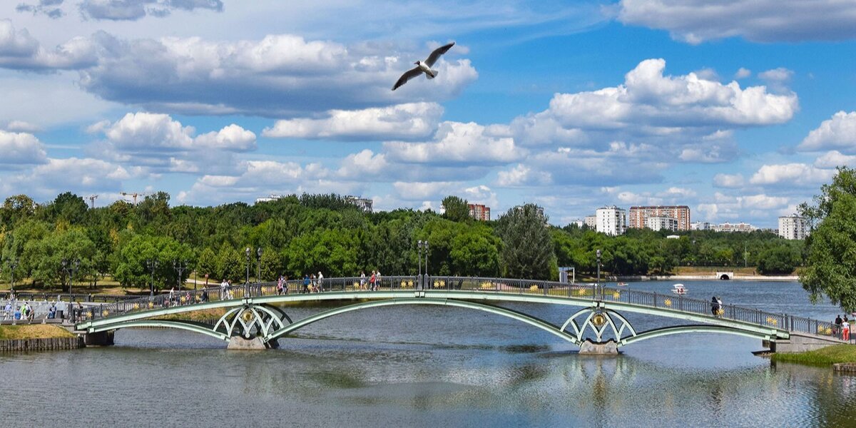 На туристическом портале появился виртуальный гид по парковым прудам Москвы