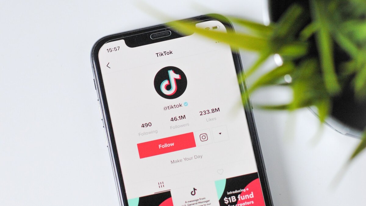 TikTok признали самой скачиваемой соцсетью в 2020 году – The City