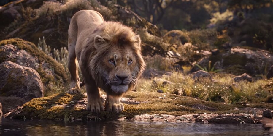 Зачем нужен новый мрачный «Король Лев»: разбирается кинокритик