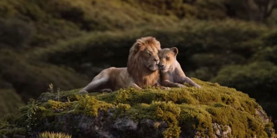 Что думает укротительница тигров и львов о фильме «Король Лев»