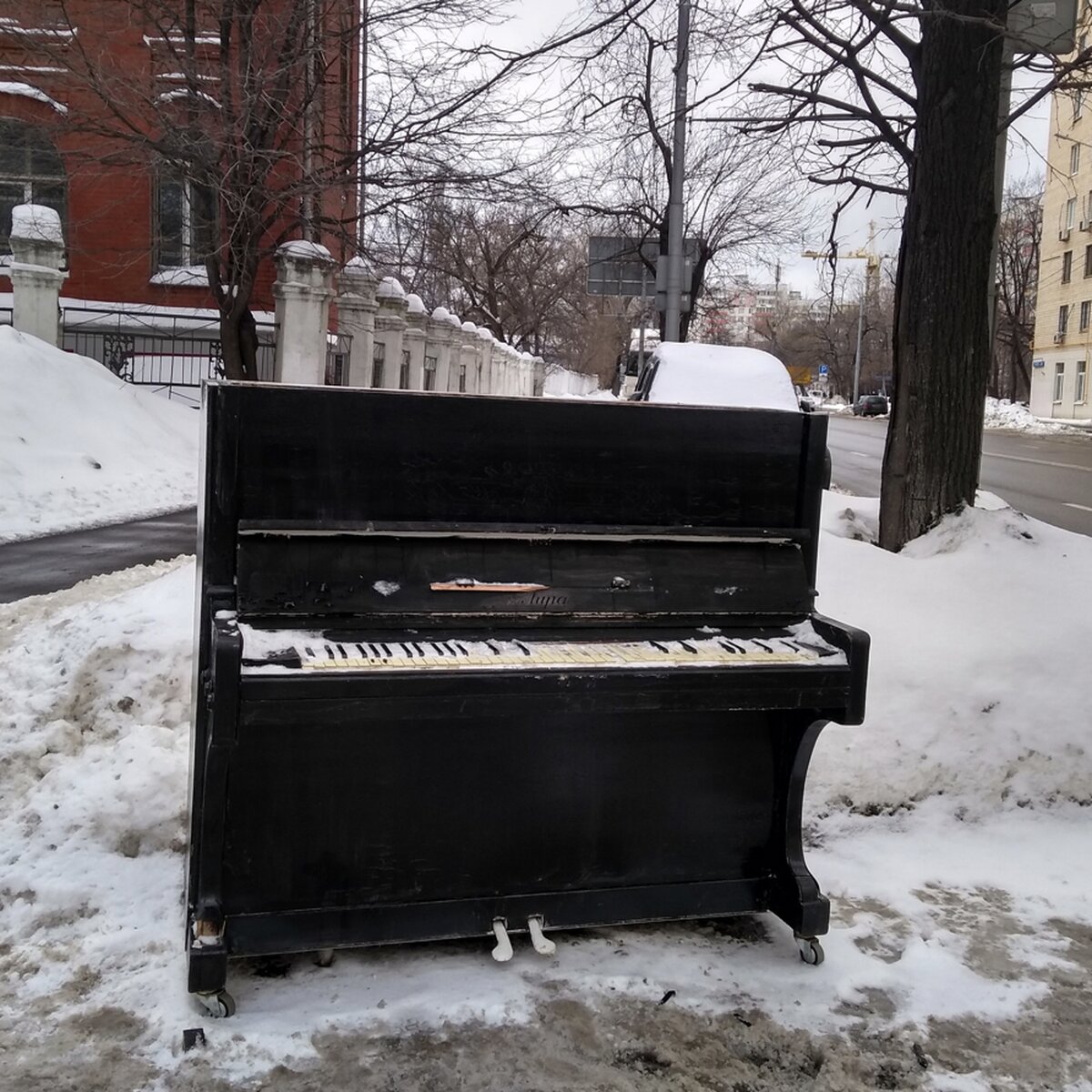 Москвичи нашли пианино в сугробе – The City