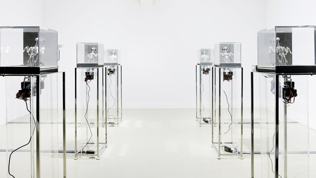 Гид по выставке The Machine Zone: роботизированная птица, зоотроп и металлический орел