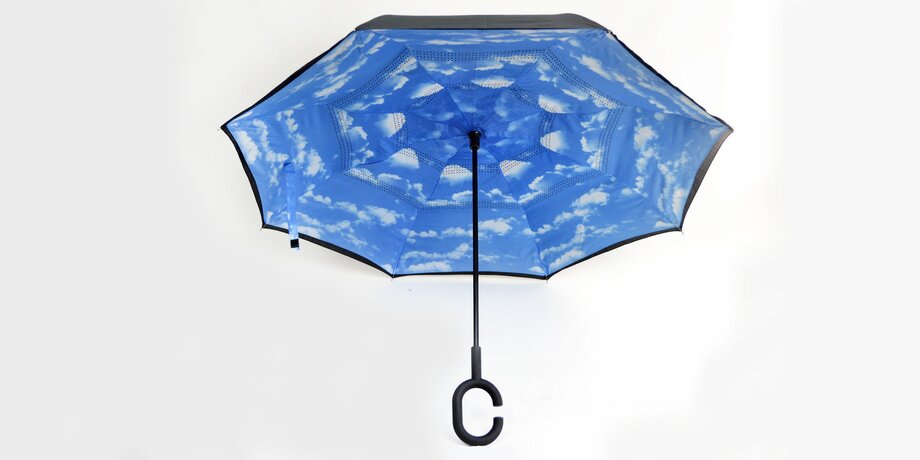 11 модных и красивых зонтов: для интровертов, парочек и любителей искусства