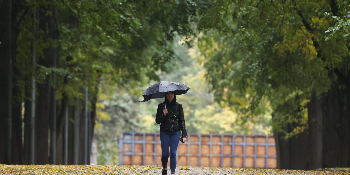 Чем заняться в Москве в дождь: 5 лучших развлечений в непогоду