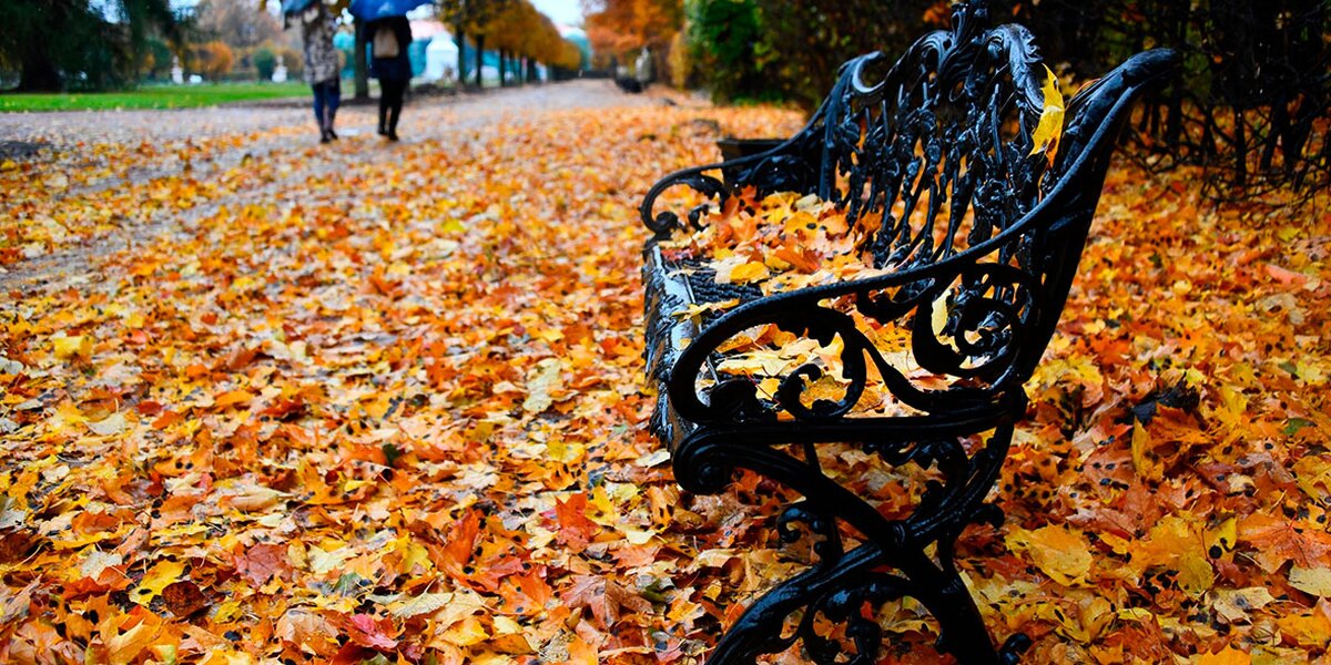 Золотая осень: красивые места для поездки на выходные недалеко от Москвы