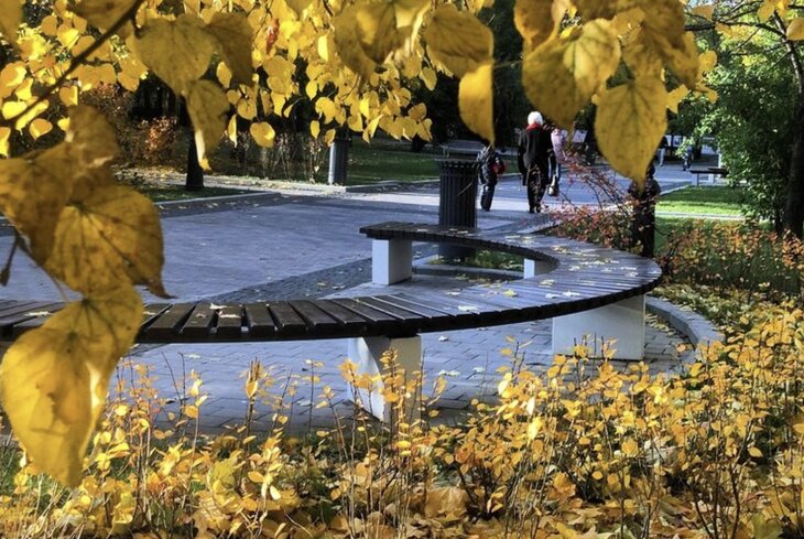 Топ-5 локаций в Москве, где можно сделать фотографии в осенней листве