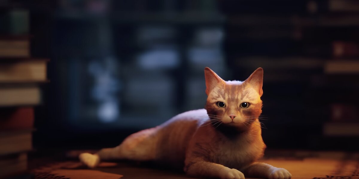В Сети завирусилась игра Stray, в которой нужно управлять рыжим котом